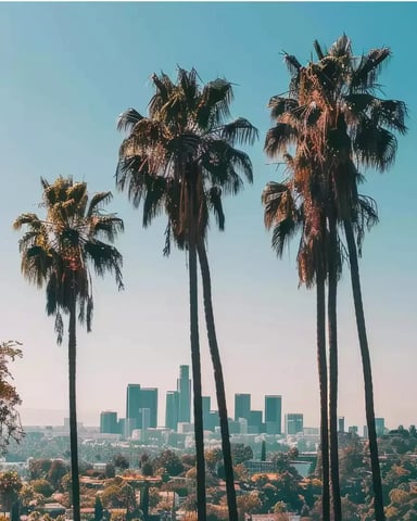Palm trees against the downtown Los Angeles skyline